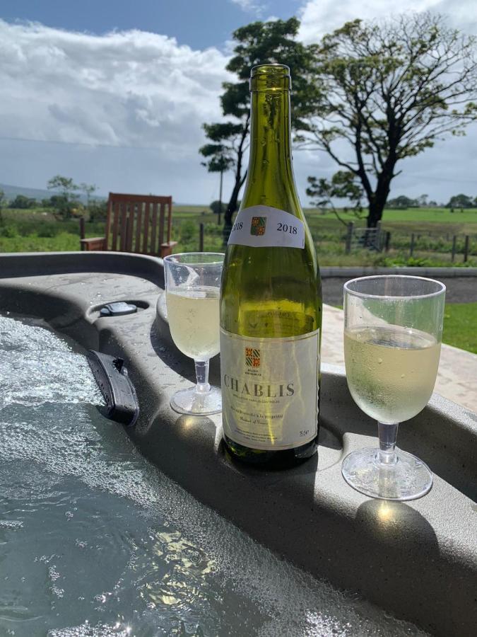 Deerfin Rentals Private Chalet With Hot Tub Ballymena Bagian luar foto