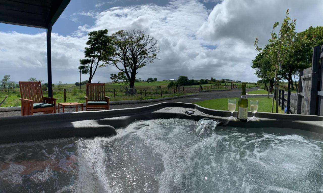 Deerfin Rentals Private Chalet With Hot Tub Ballymena Bagian luar foto